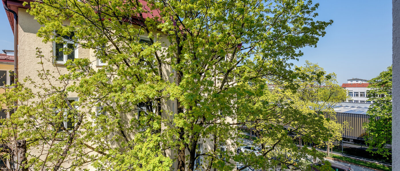 Wohnung München Neuhausen 04 Aussicht 11009