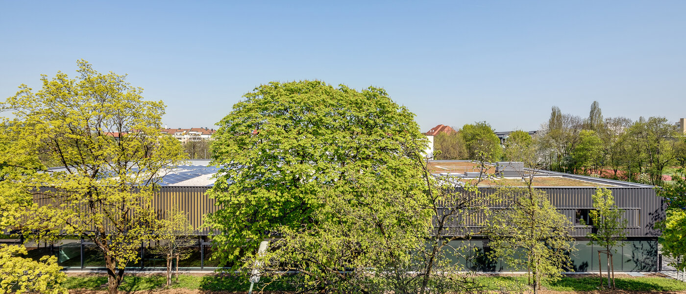 Wohnung München Neuhausen 05 Aussicht 11009