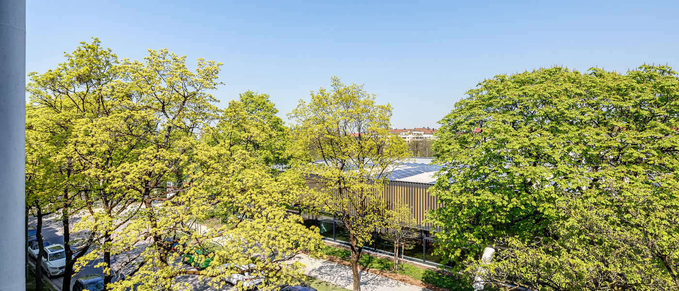 Wohnung München Neuhausen 07 Aussicht 11009