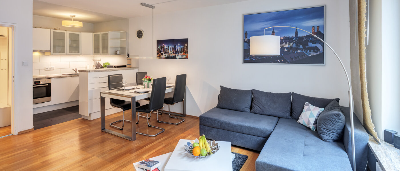 Wohnung München Haidhausen 01 Wohnbereich 11036