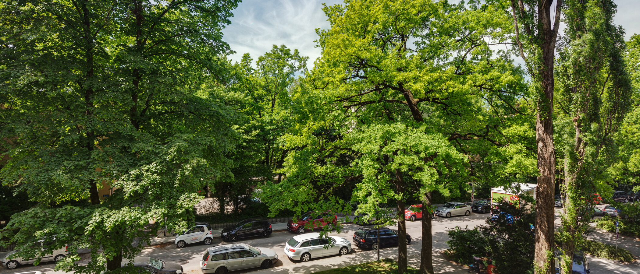 Wohnung München Parkstadt Bogenhausen 03 Aussicht 11037