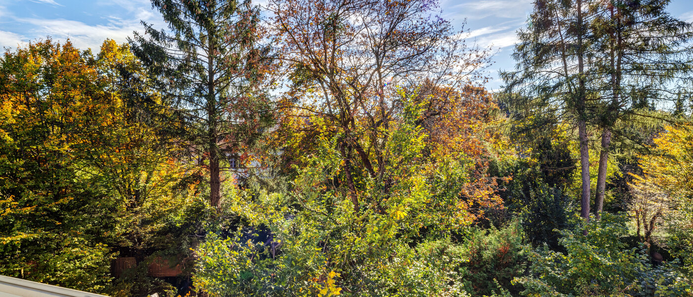 Wohnung München Nymphenburg 01 Aussicht 11055