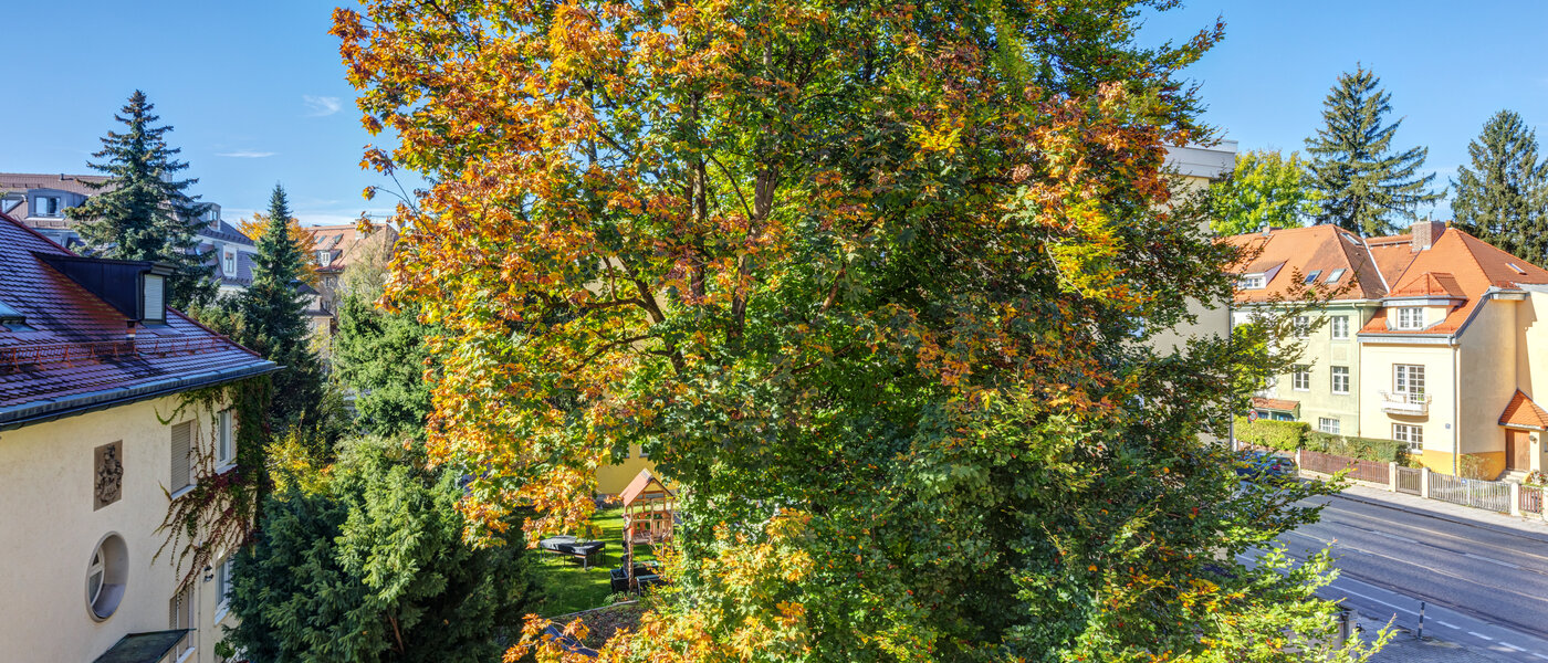 Wohnung München Nymphenburg 03 Aussicht 11055