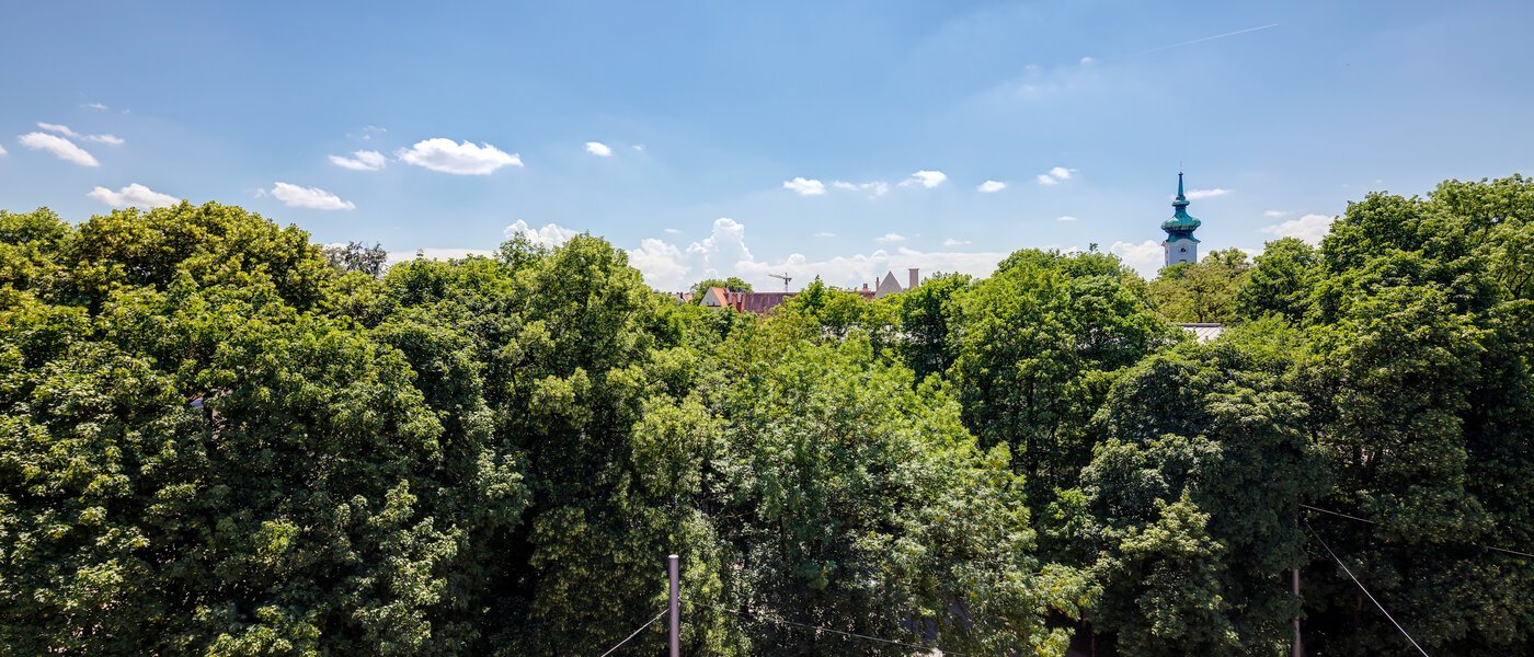 Dachterrassenwohnung München Bogenhausen 01 Aussicht 11076