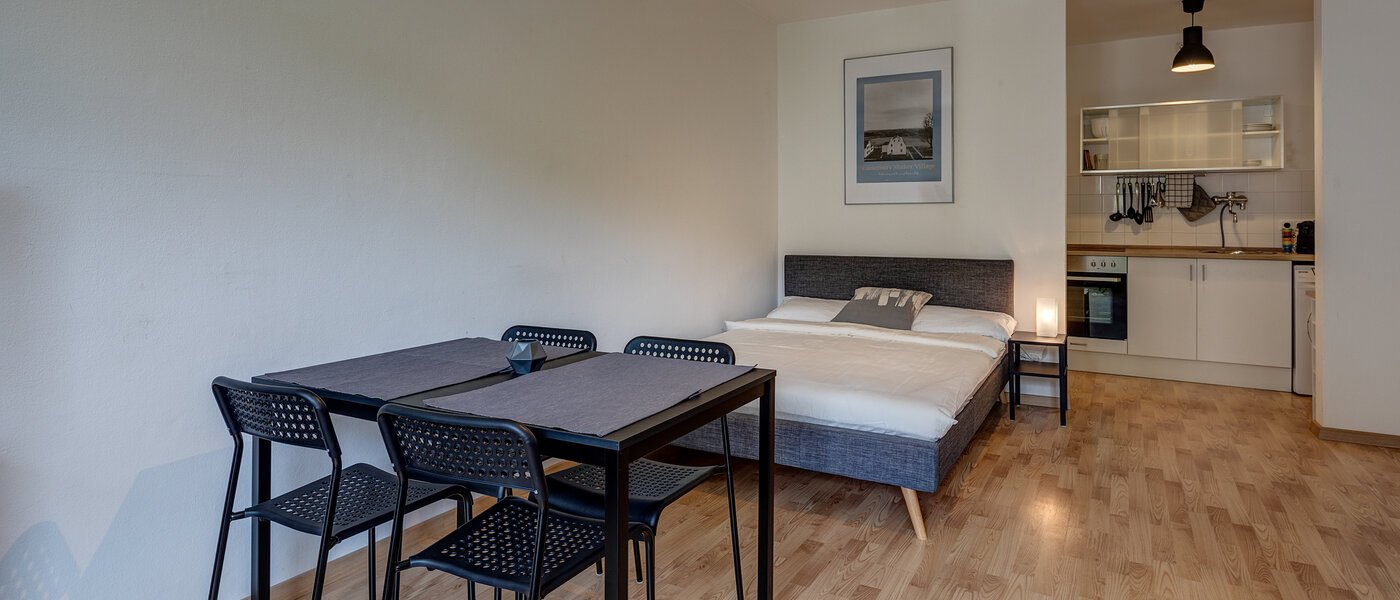 Wohnung München Maxvorstadt - Rund um den Josephplatz 04 Wohnbereich 11083