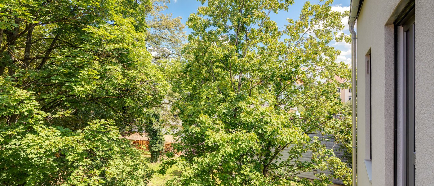 Wohnung München Pasing 03 Aussicht 11135