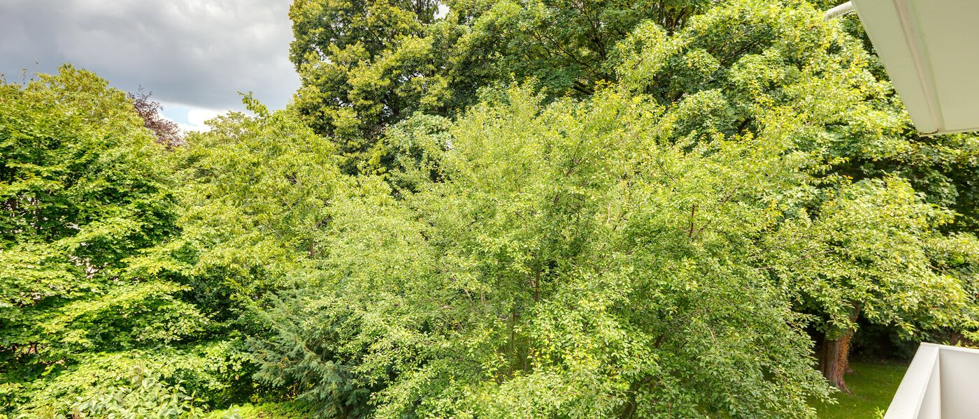 Wohnung München Herzogpark 04 Aussicht 11149