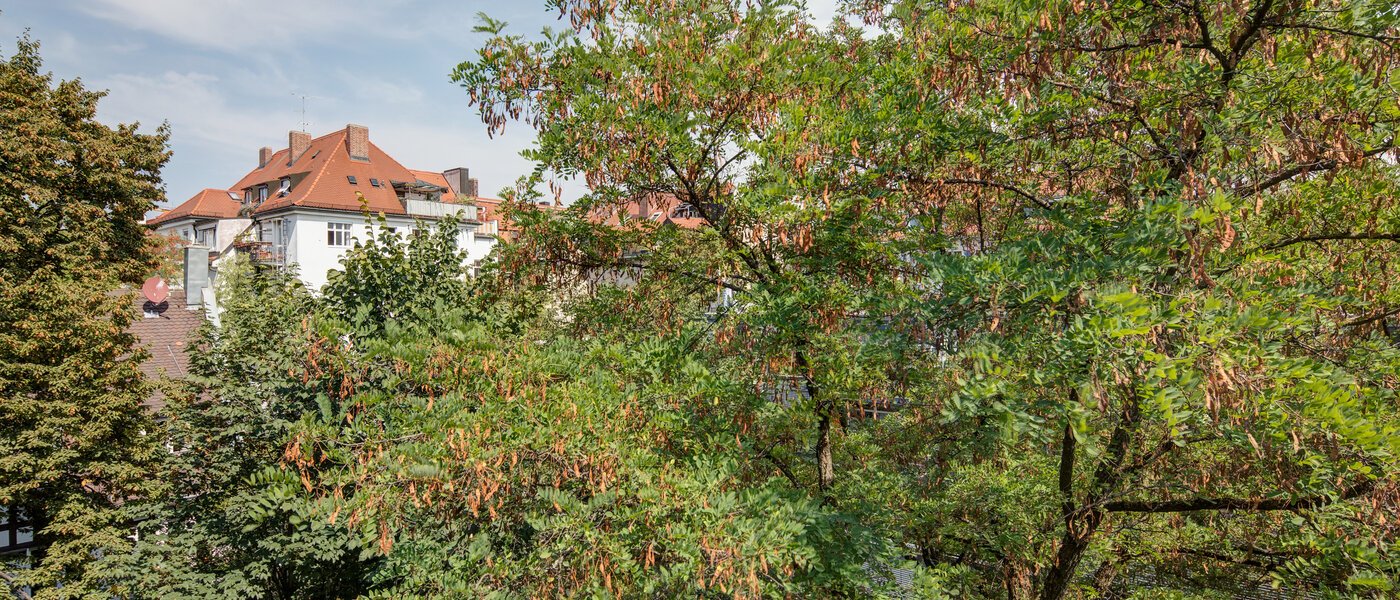 Wohnung München Schwabing 01 Aussicht 11220