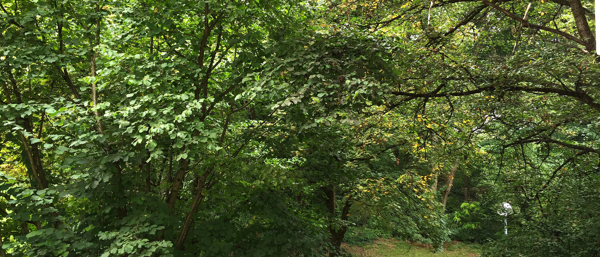 Apartment München Schwabing-West 01 Aussicht 11238