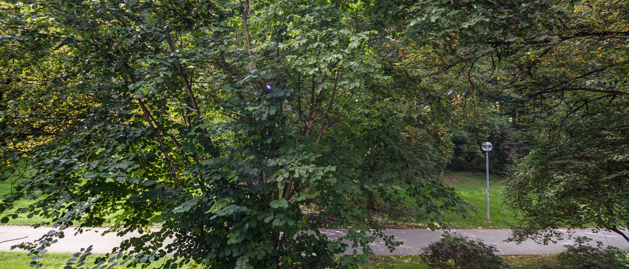 Apartment München Schwabing-West 03 Aussicht 11238