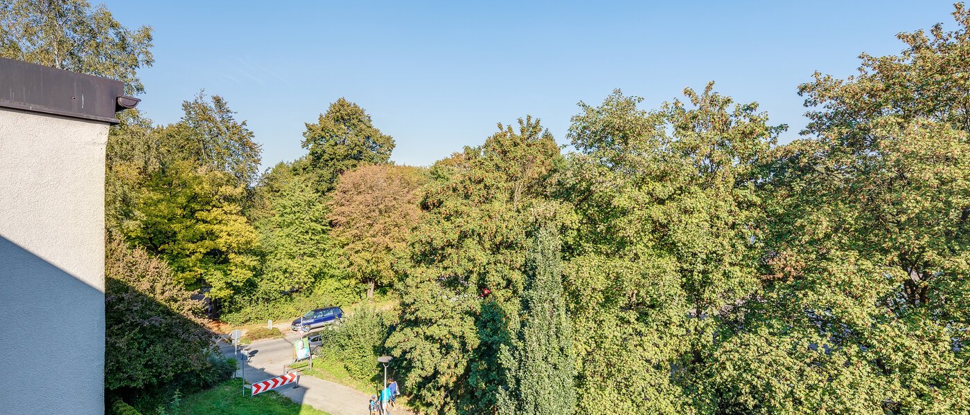 Wohnung München Parkstadt Bogenhausen 02 Aussicht 11256