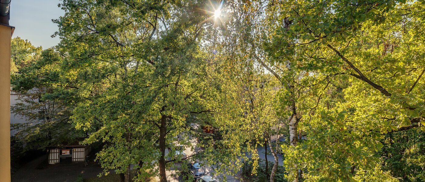 Wohnung München Parkstadt Bogenhausen 03 Aussicht 11256