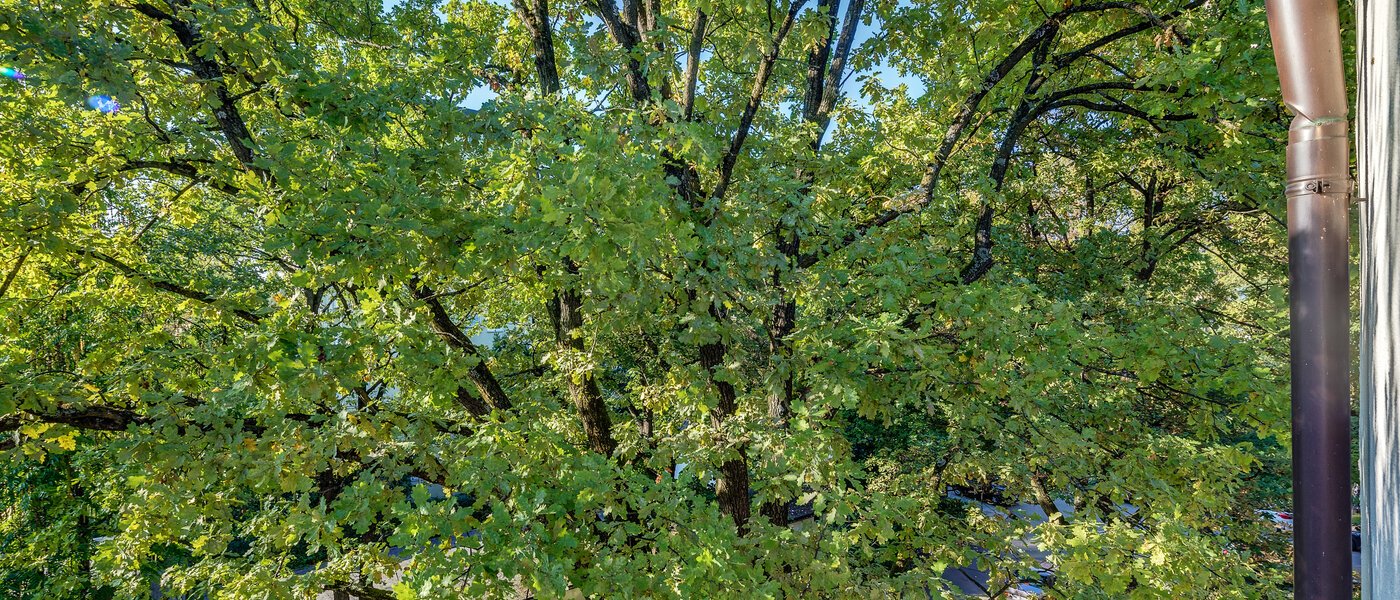 Wohnung München Parkstadt Bogenhausen 05 Aussicht 11256