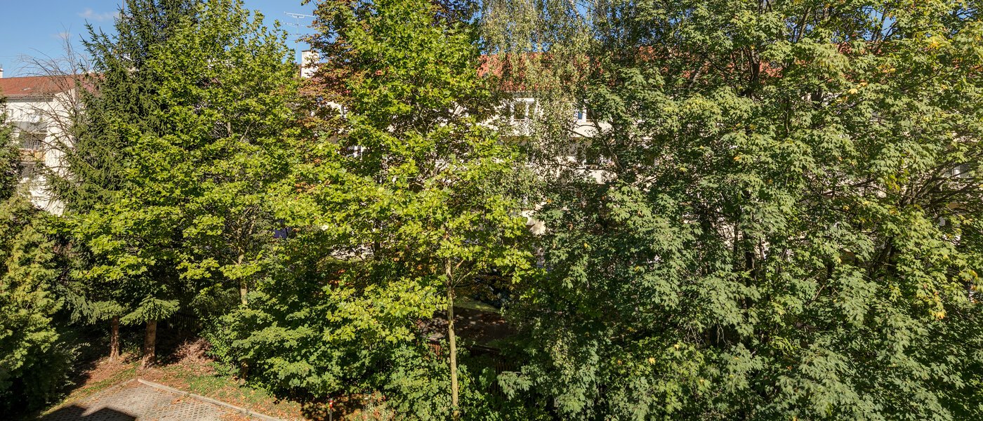 Wohnung München Obergiesing 01 Aussicht 11258