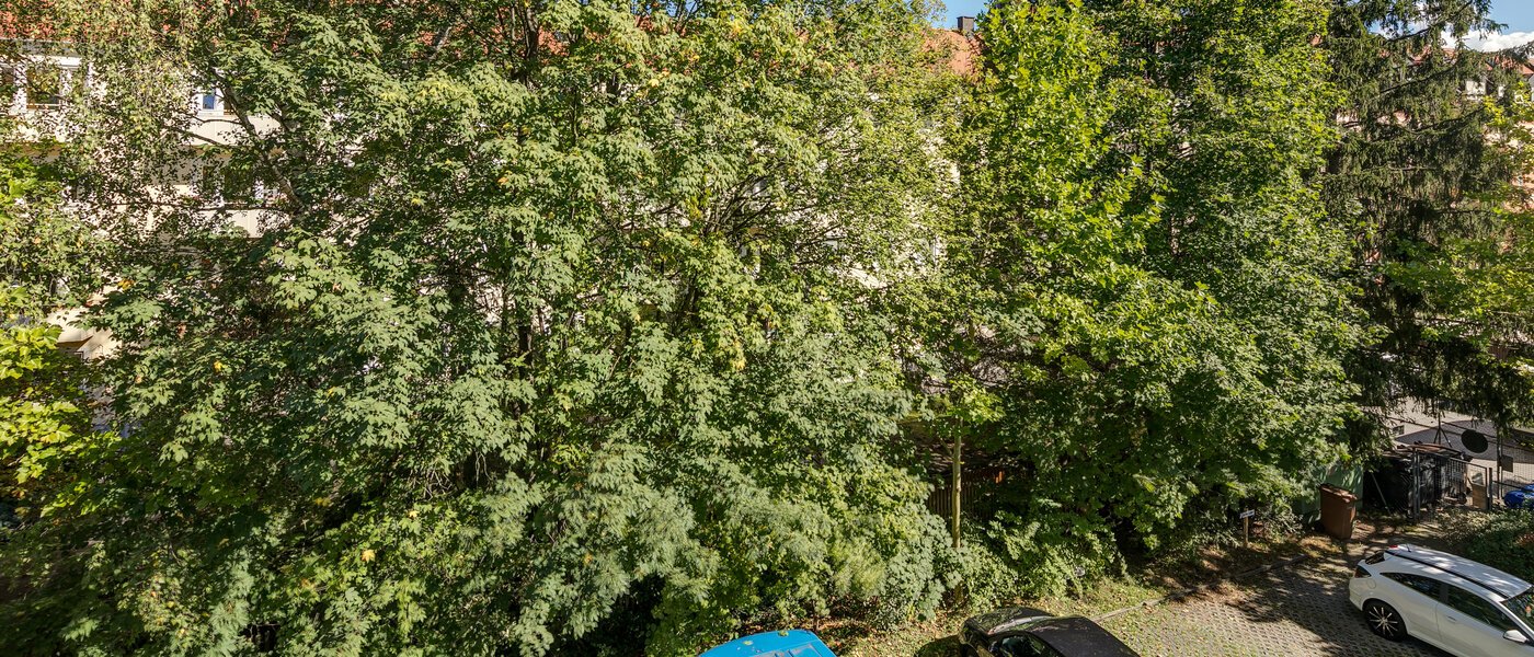 Wohnung München Obergiesing 02 Aussicht 11258