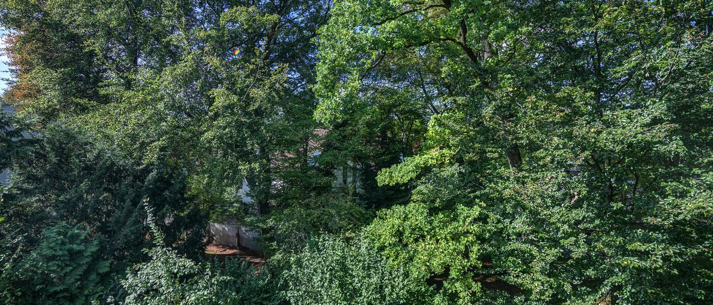 Dachterrassenwohnung München Menterschwaige 03 Aussicht 11267