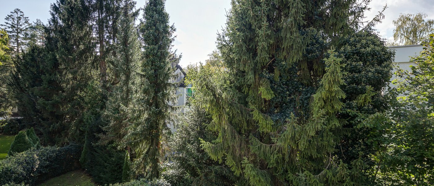 Dachterrassenwohnung München Menterschwaige 05 Aussicht 11267