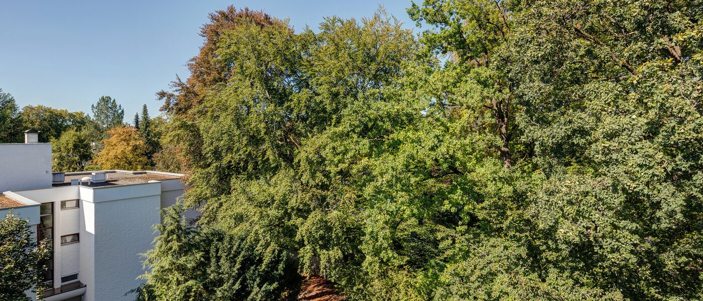 Dachterrassenwohnung München Menterschwaige 08 Aussicht 11267