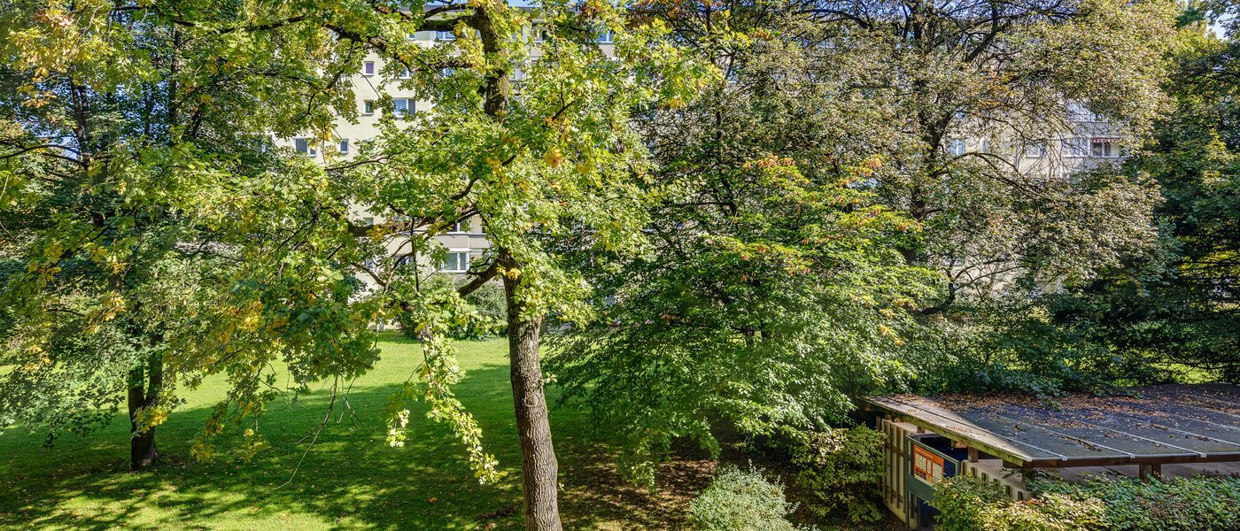 Wohnung München Parkstadt Bogenhausen 01 Aussicht 11276