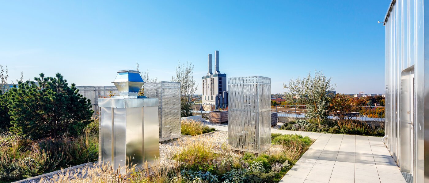 Wohnung München Obersendling 02 Gemeinschaftsterrasse  11291