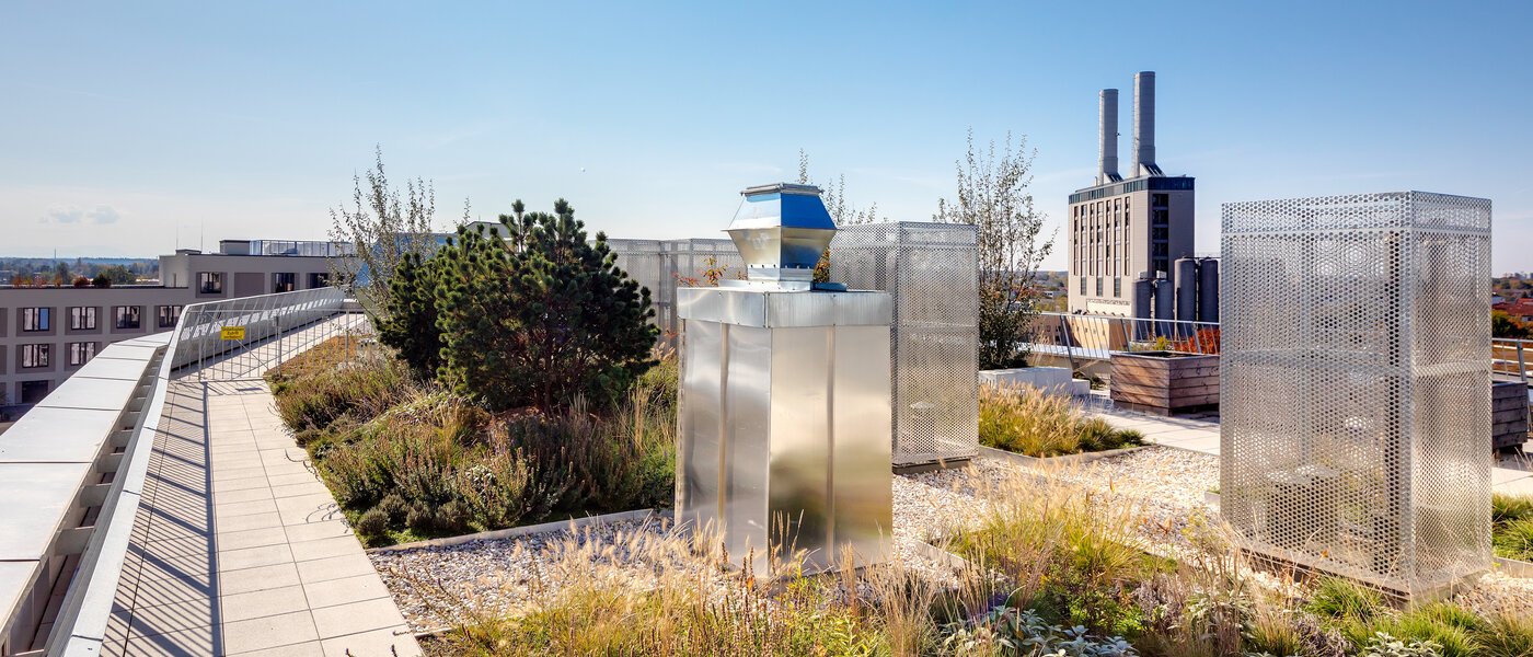 Wohnung München Obersendling 03 Gemeinschaftsterrasse  11291