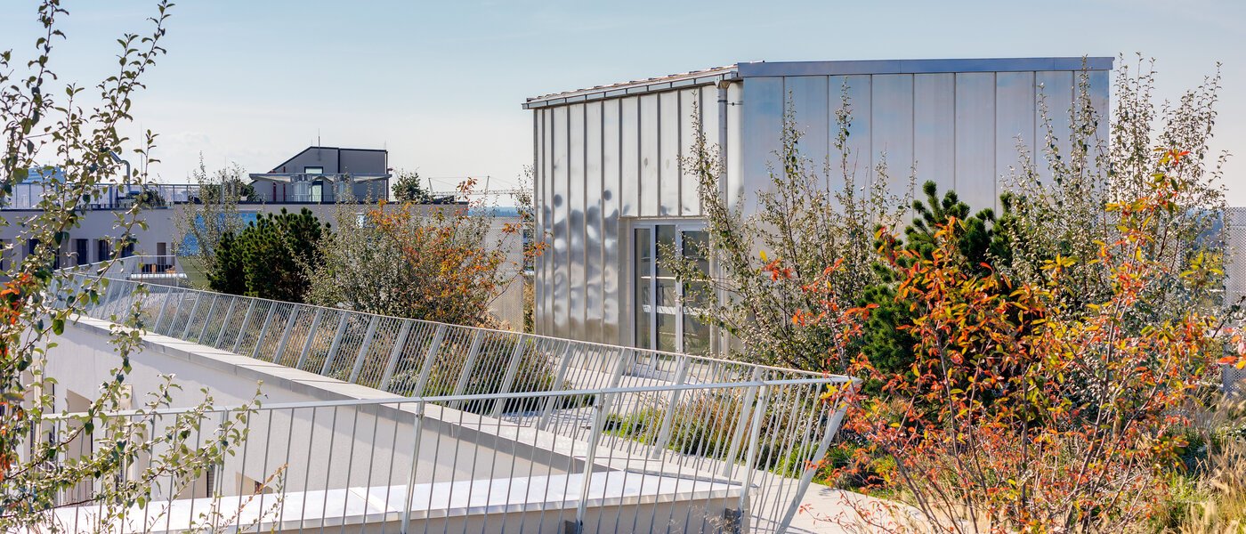 Wohnung München Obersendling 04 Gemeinschaftsterrasse  11291