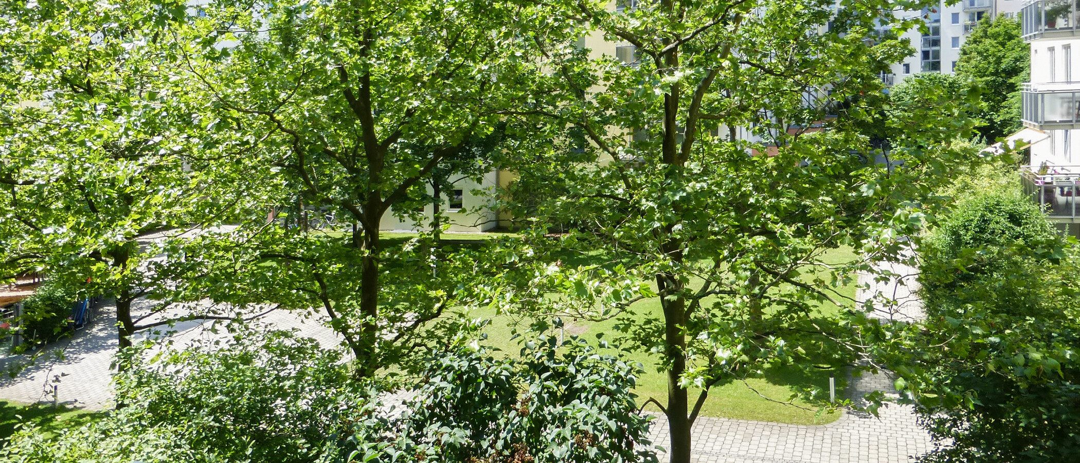 Wohnung München Maxvorstadt 01 Aussicht 11428