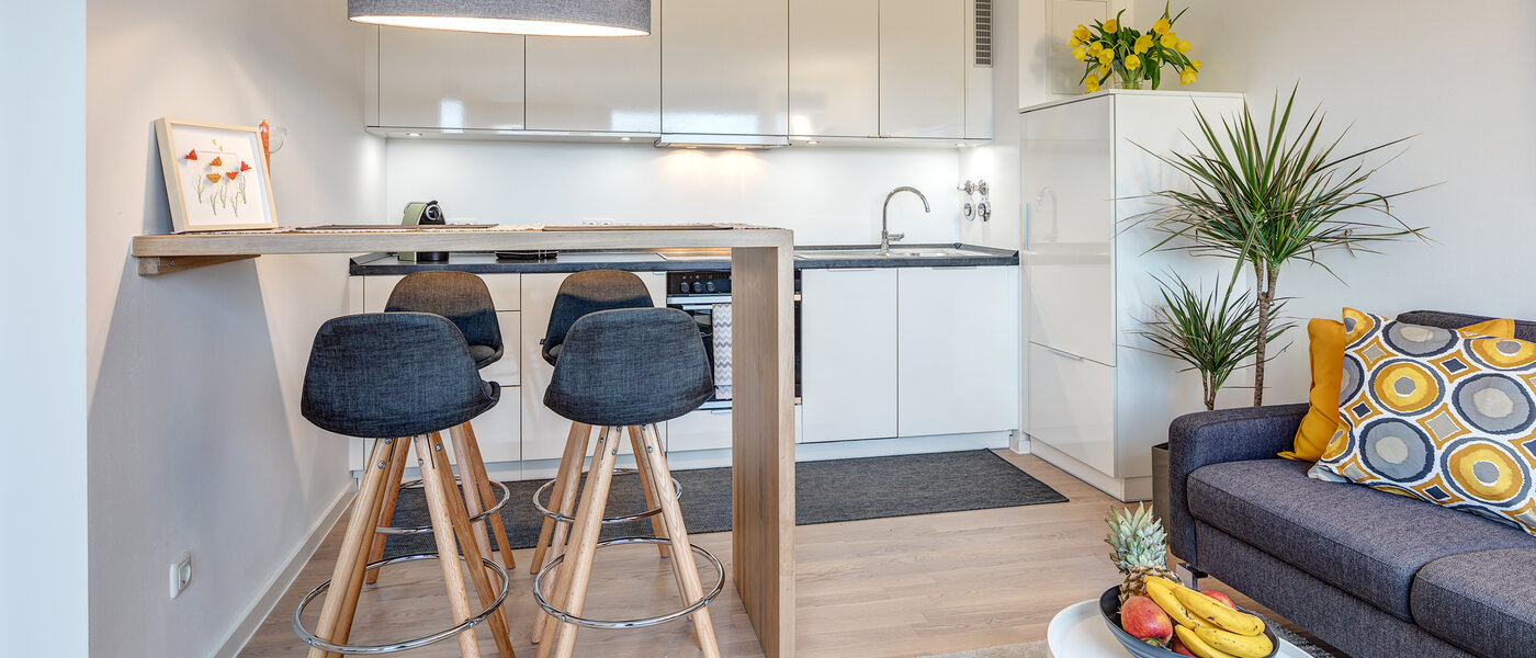 Wohnung München Pasing 05 Wohnbereich 11456