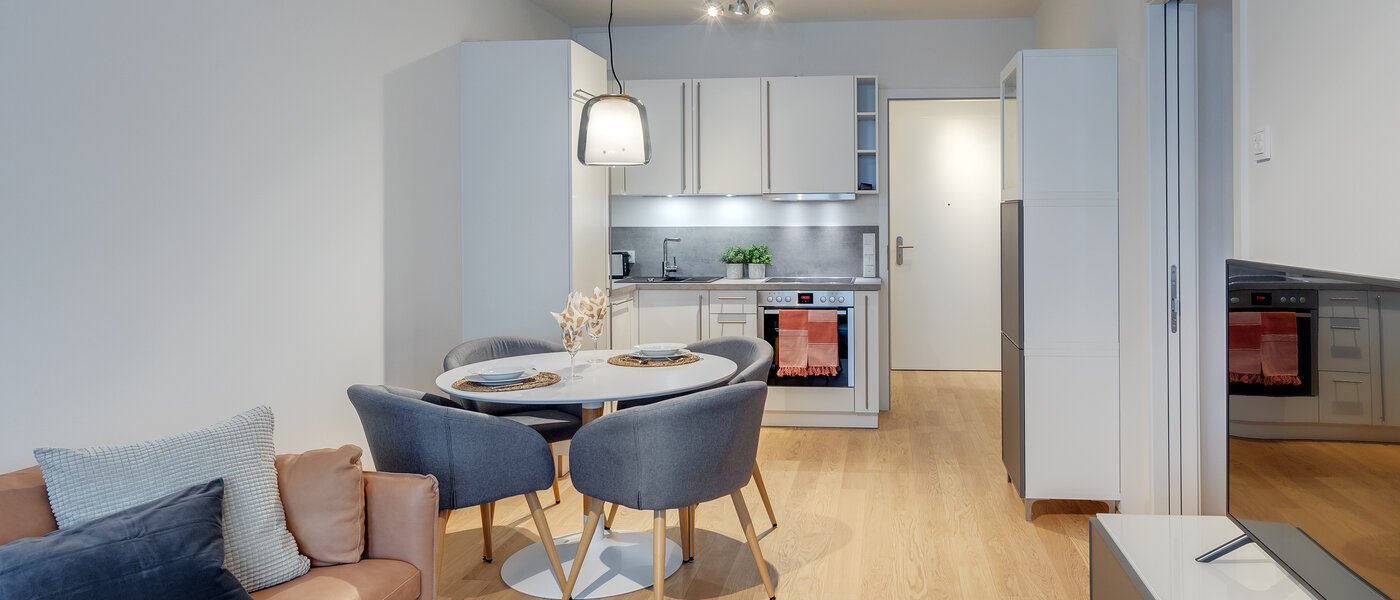 Wohnung München Bogenhausen 06 Wohnbereich 11481