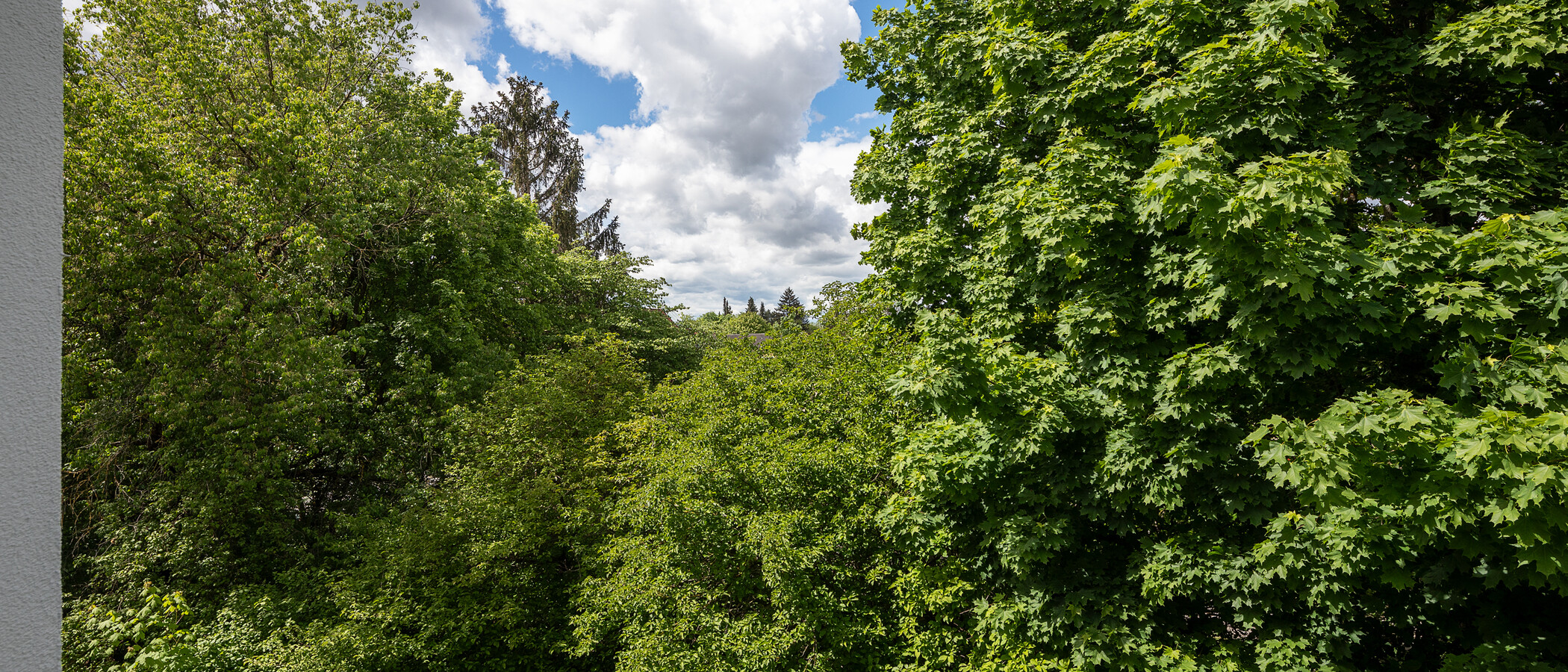 Wohnung München Nymphenburg 05 Aussicht 11535
