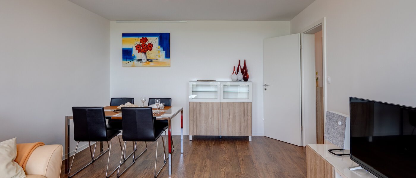 Wohnung Oberschleißheim 04 Wohnzimmer 11550