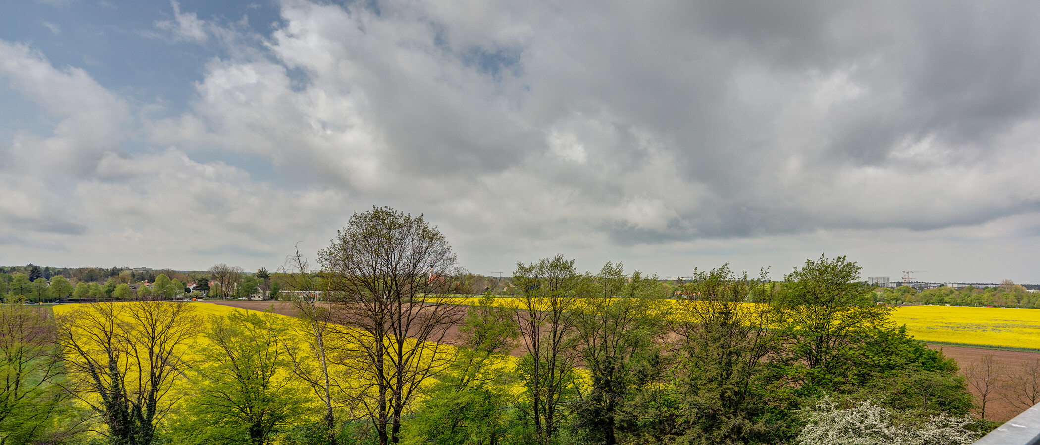 Wohnung München Parkstadt Solln 03 Aussicht 11555