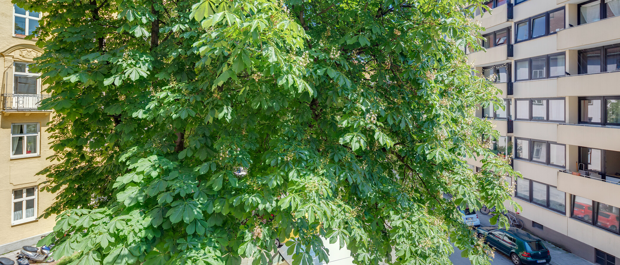 Wohnung München Obergiesing 02 Aussicht 11593