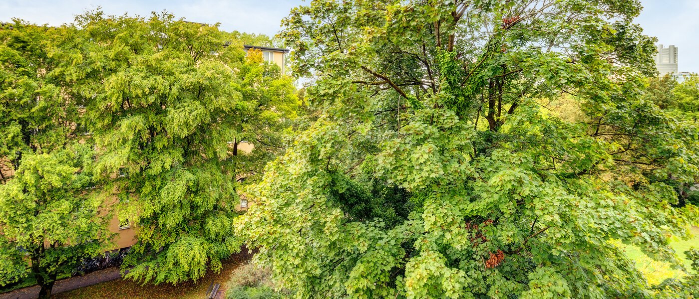 Wohnung München Parkstadt Bogenhausen 02 Aussicht 1160