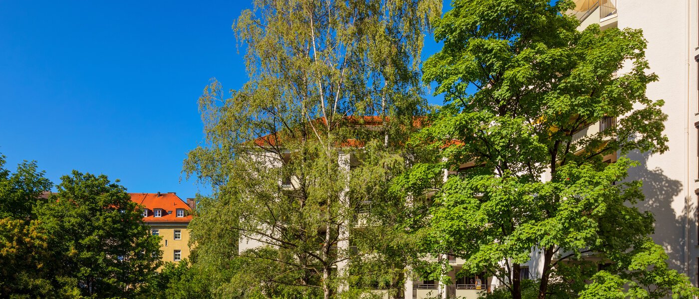 Wohnung München Maxvorstadt 01 Aussicht 11609