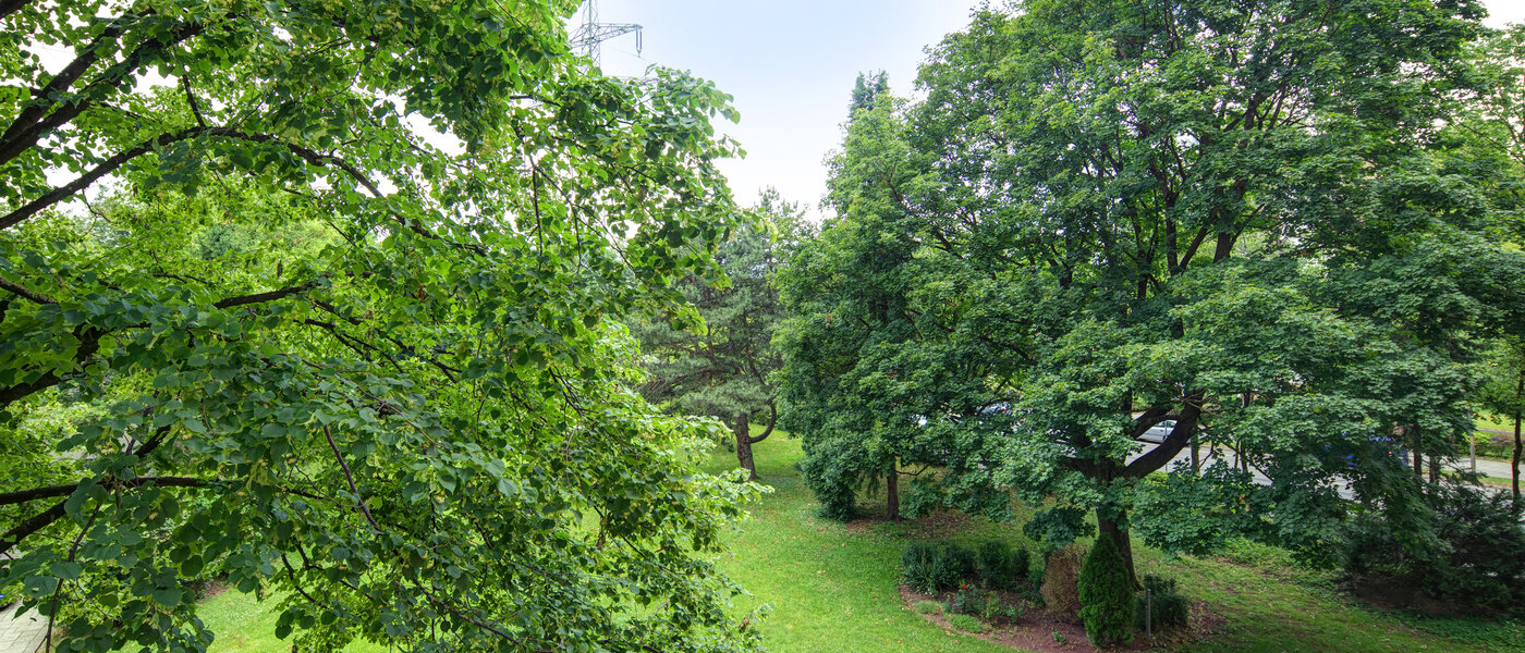 Wohnung München Aubing 02 Aussicht 11641