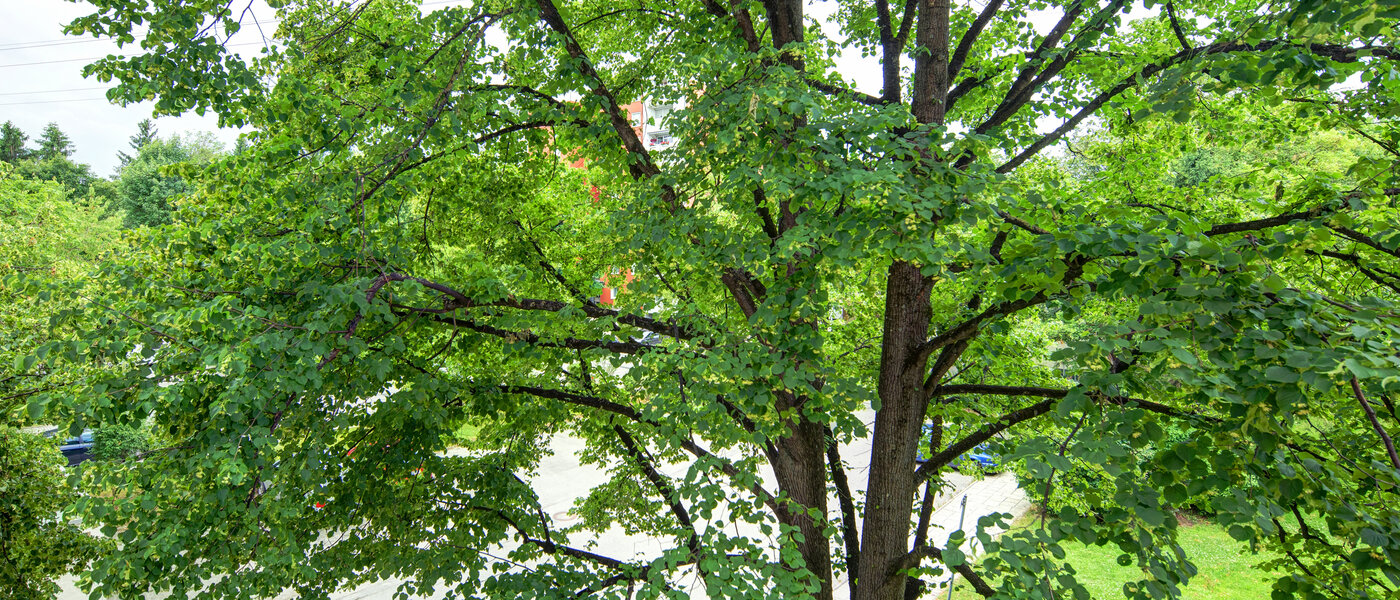 Wohnung München Aubing 03 Aussicht 11641