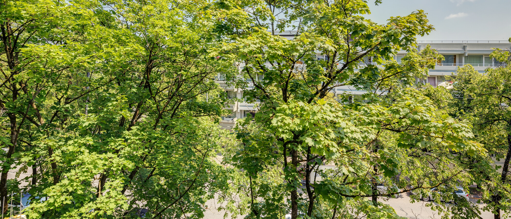 Wohnung München Milbertshofen 01 Aussicht 11650