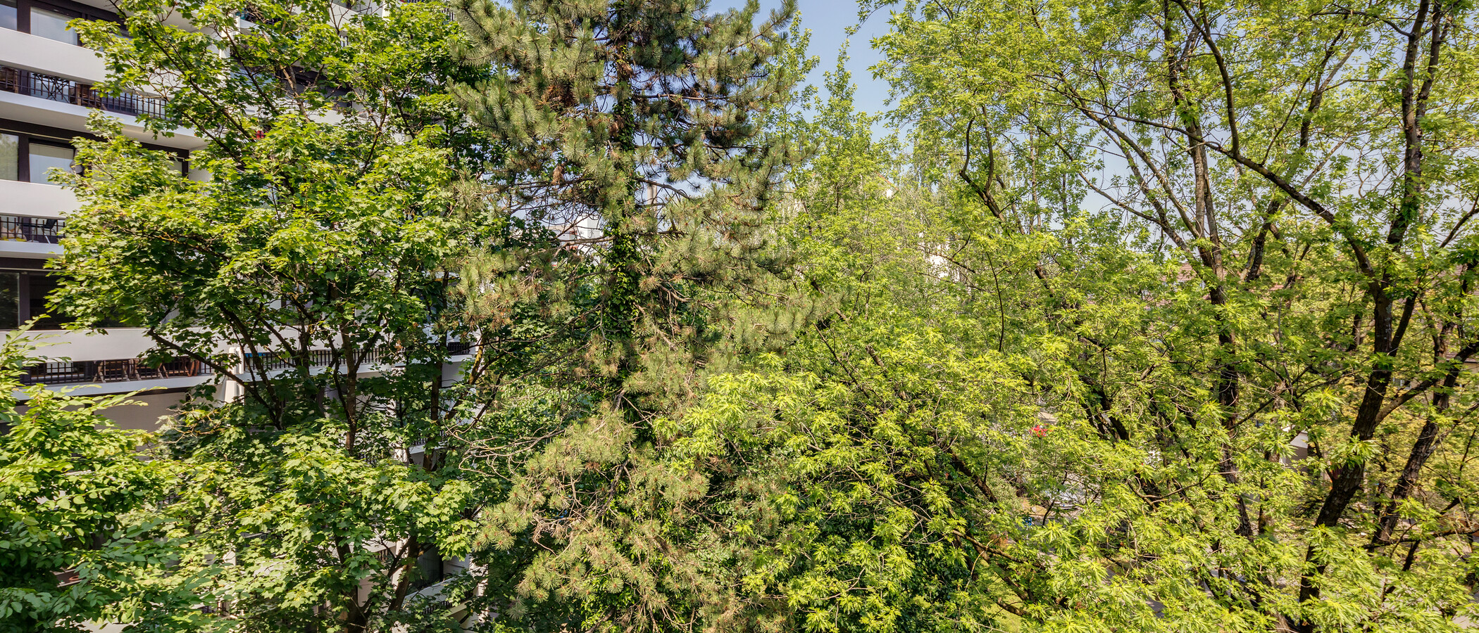 Wohnung München Milbertshofen 03 Aussicht 11650
