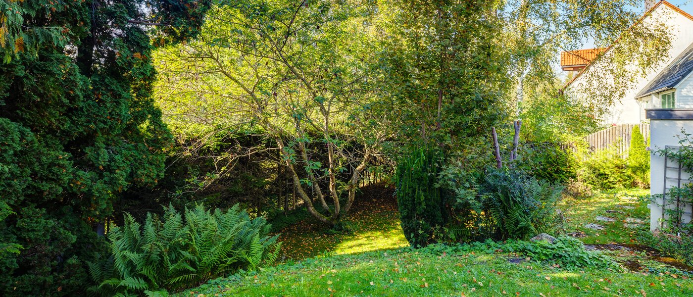 Gartenwohnung Feldafing 02 Garten 11698