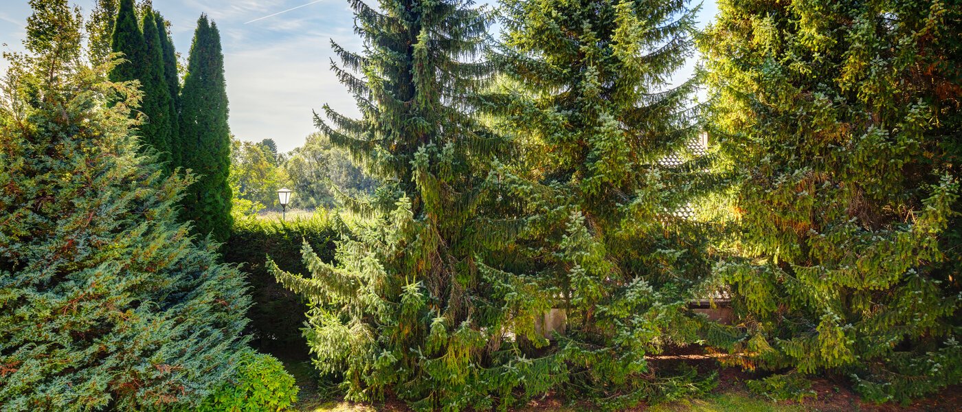 Gartenwohnung Feldafing 01 Aussicht 11698