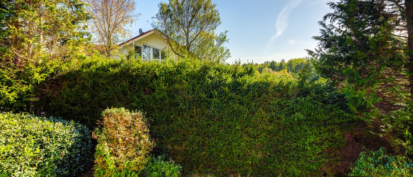 Gartenwohnung Feldafing 02 Aussicht 11698