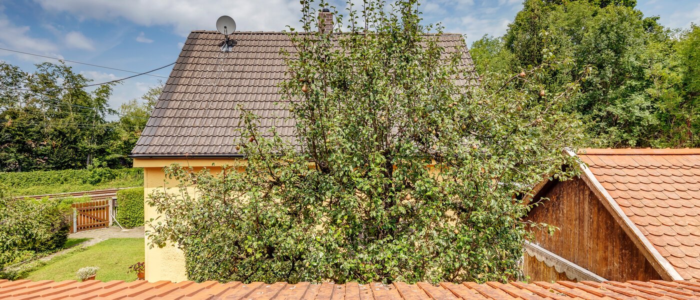 Einfamilienhaus München Fasanerie 02 Aussicht 11740