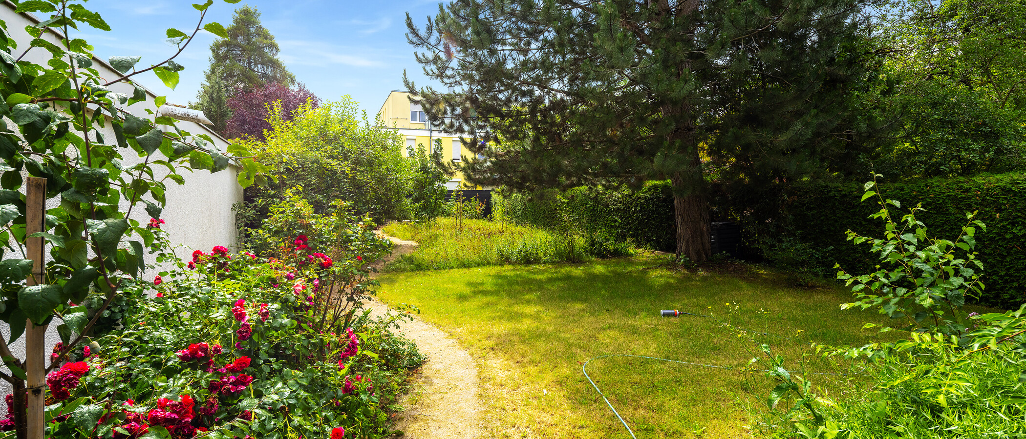Doppelhaushälfte München Harlaching 03 Garten 11748