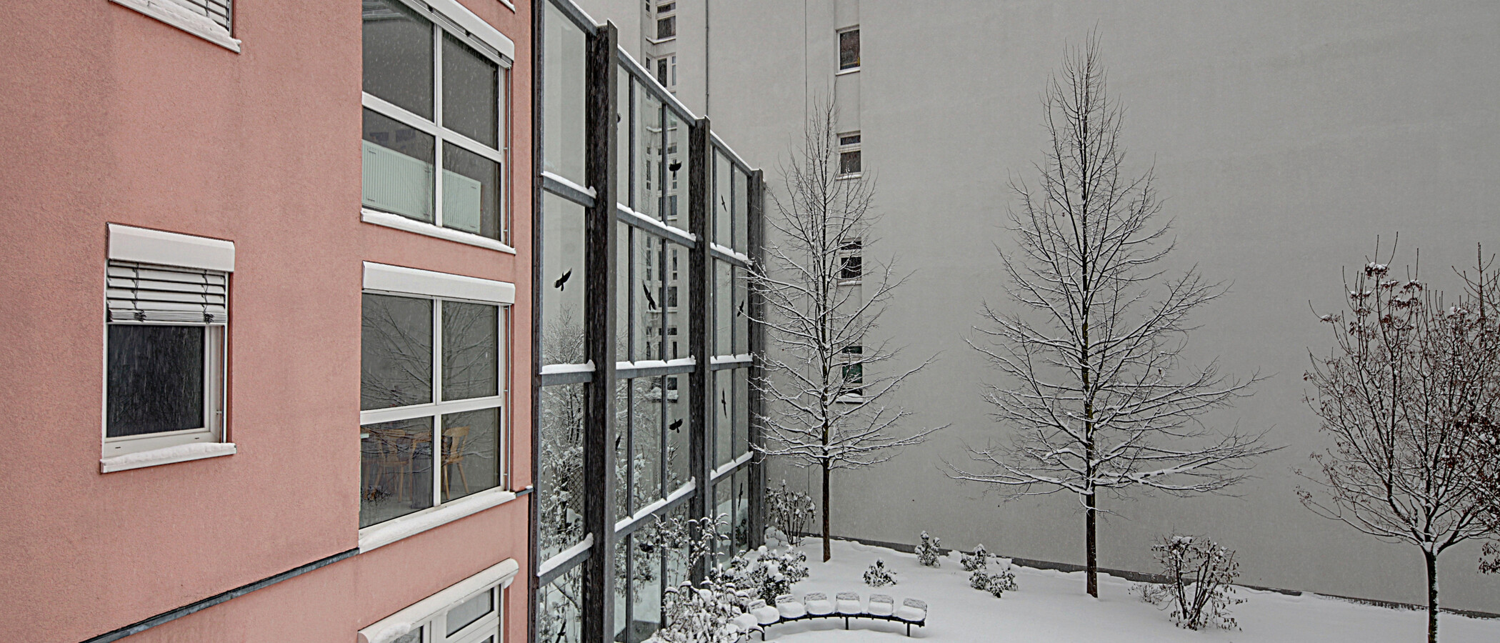 Wohnung München Schwabing (links der Leopoldstraße) 02 Aussicht 1191