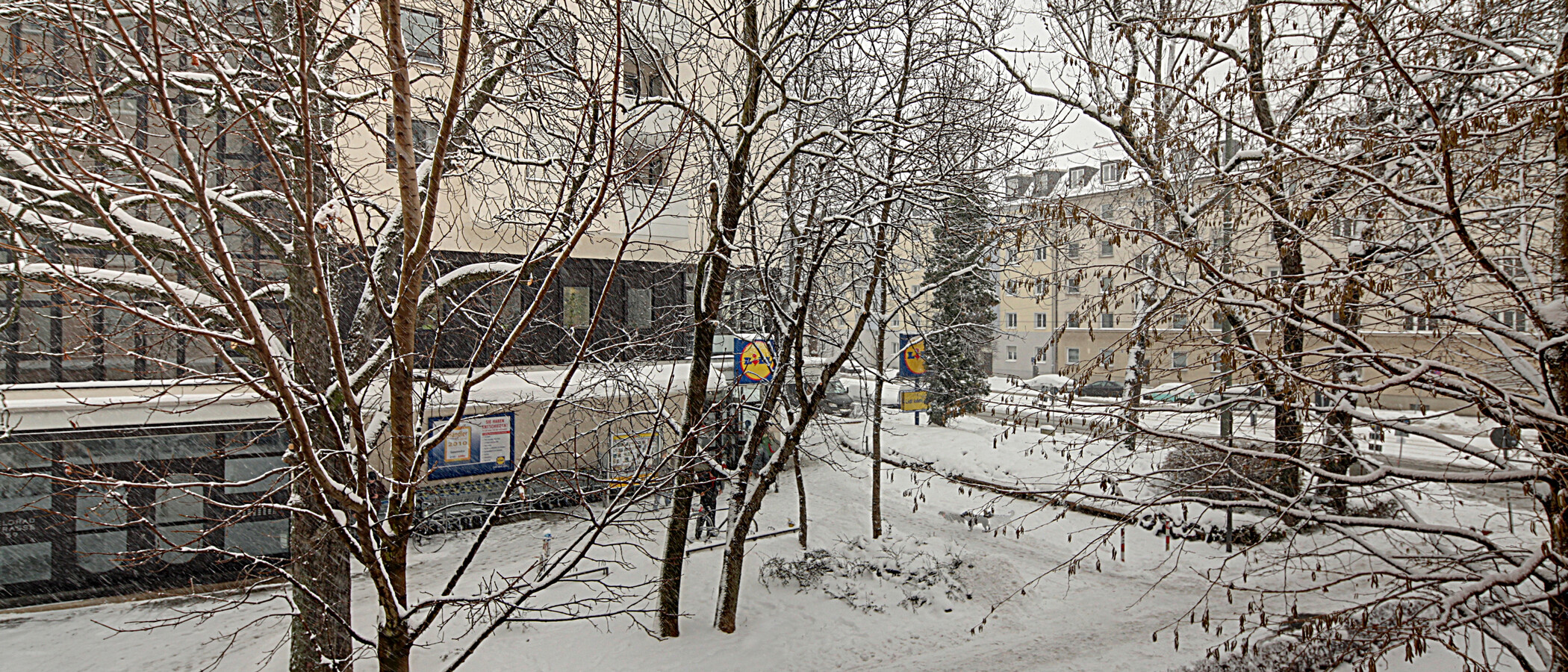 Wohnung München Schwabing (links der Leopoldstraße) 03 Aussicht 1191