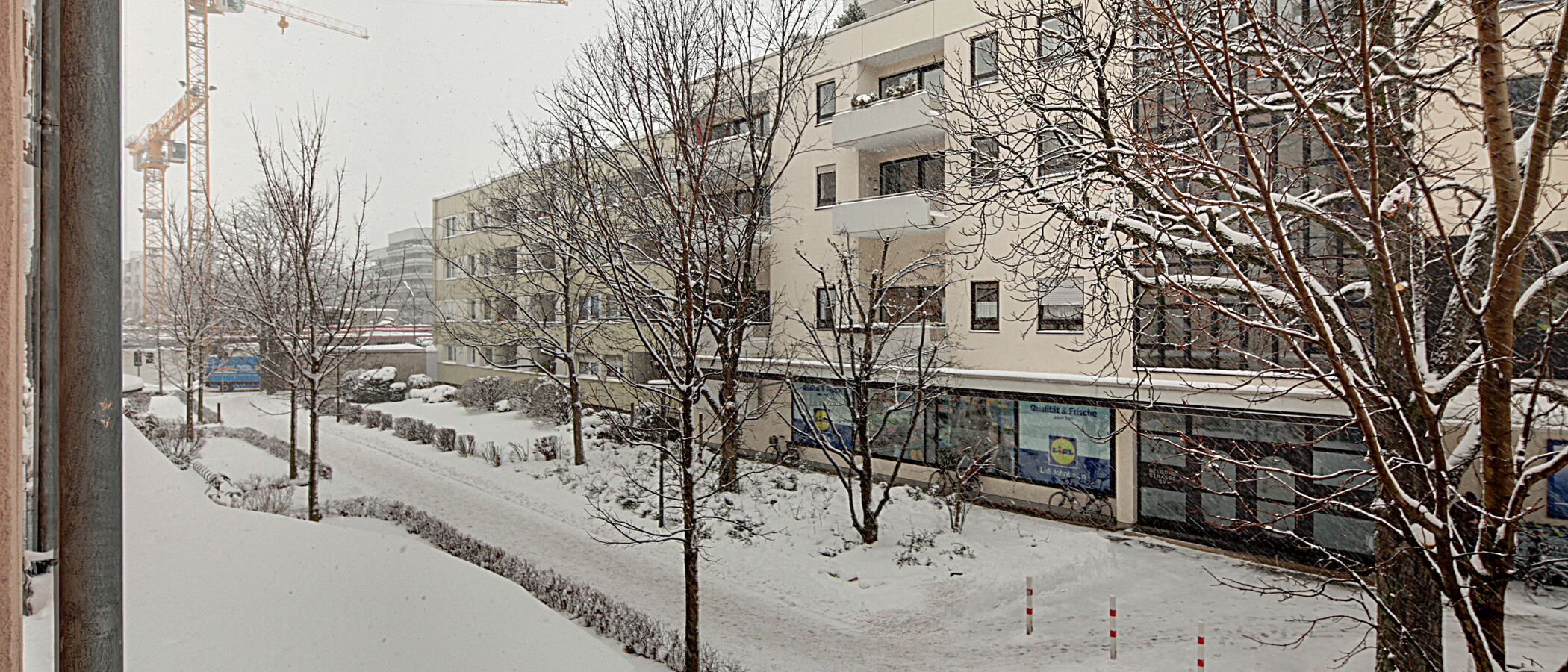 Wohnung München Schwabing (links der Leopoldstraße) 04 Aussicht 1191