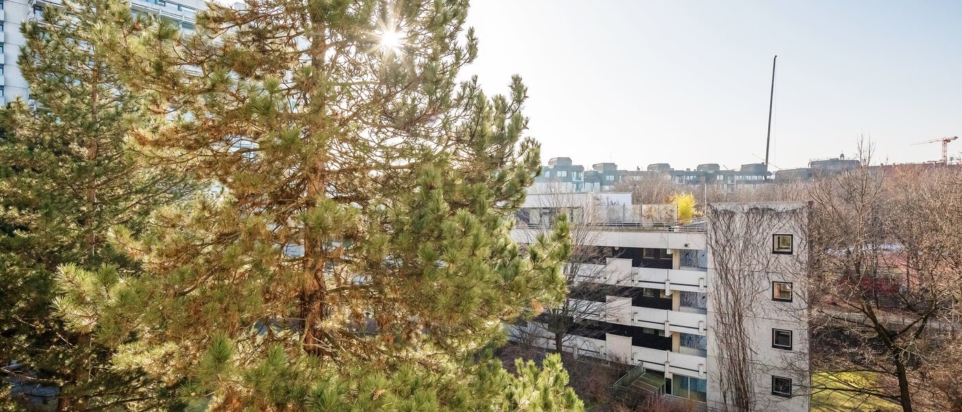 Wohnung München Haidhausen 01 Aussicht 12031