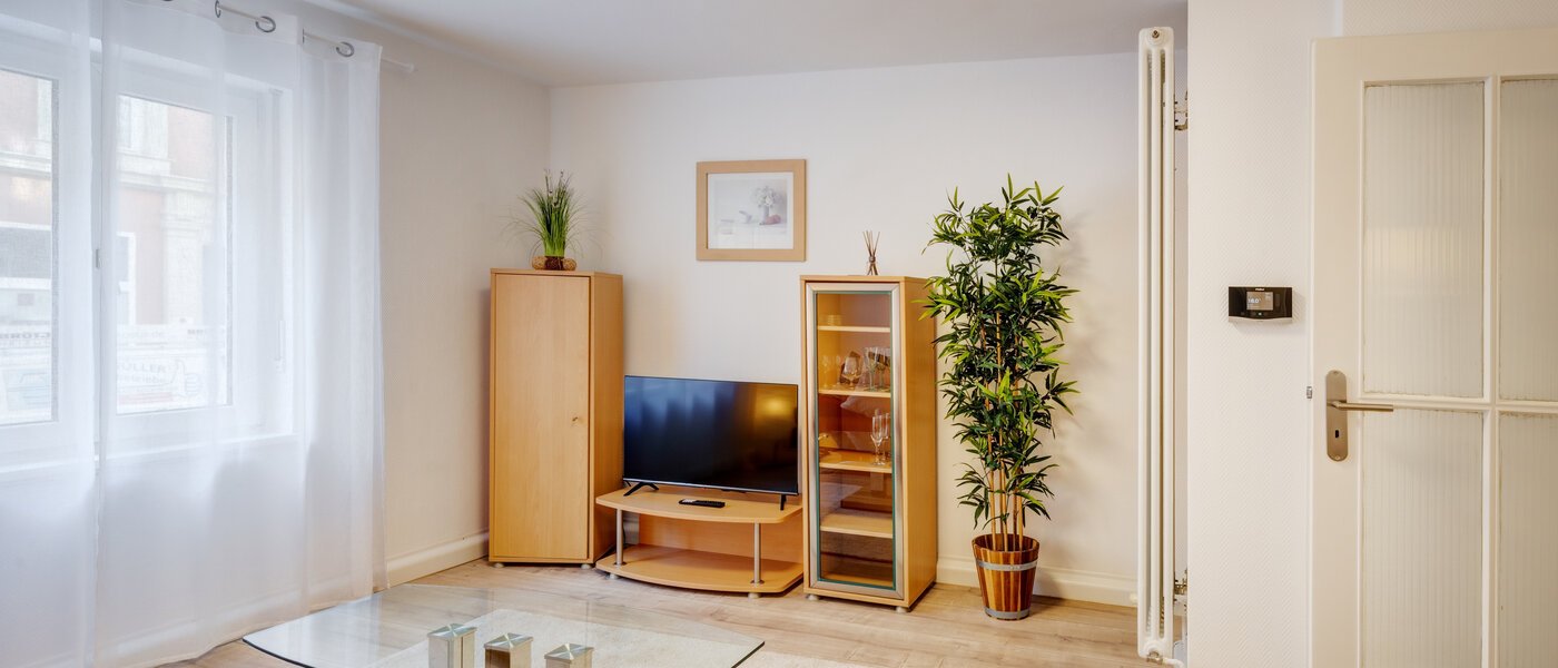 Wohnung München Maxvorstadt - Museumsviertel 02 Wohnzimmer 1215