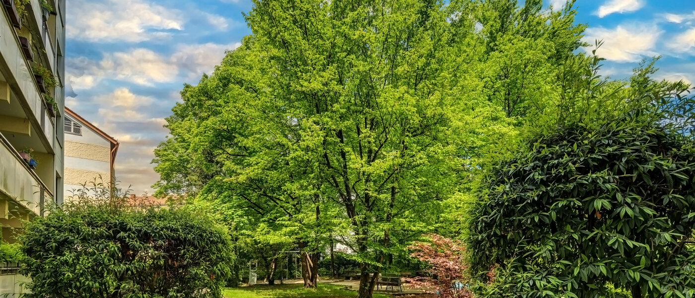 Wohnung München Neuhausen 03 Aussicht 12163